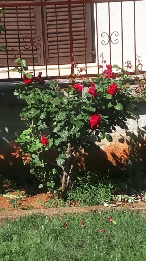 Apartment Vesna For 2, Free Parking And Wi-Fi Pula Dış mekan fotoğraf